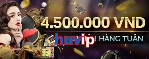 huvip